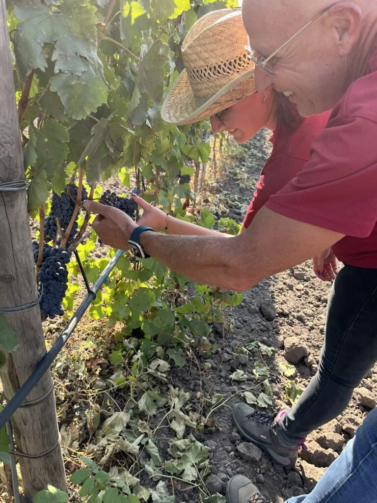 Micaela Noto di Mikale vini mentre lavora in vigna